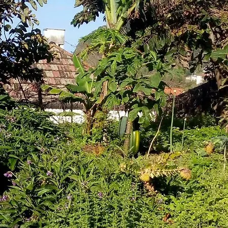 Casa Reizinho Semesterbostad Santana (Madeira)