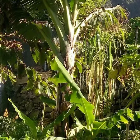 Casa Reizinho Semesterbostad