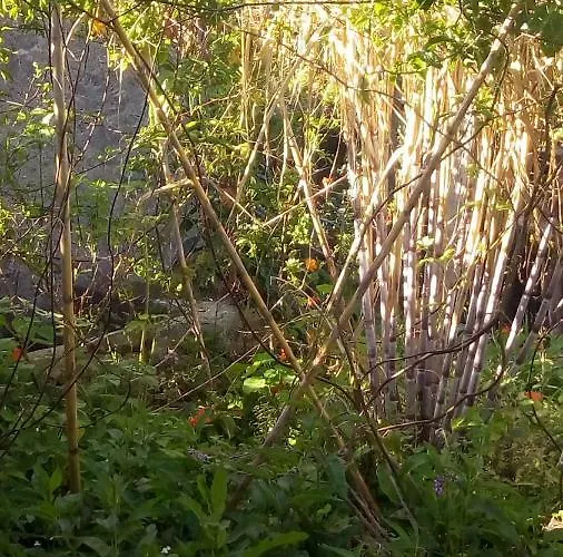 Casa Reizinho Σπίτι διακοπών