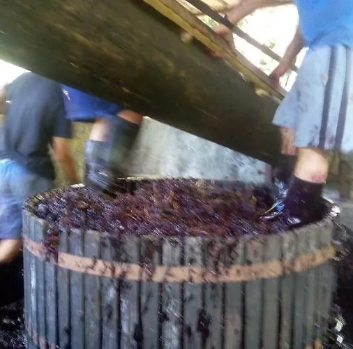 Casa Reizinho * Santana (Madeira)