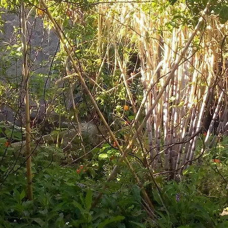 Casa Reizinho Ferienhaus