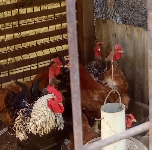 Casa Reizinho Santana (Madeira)