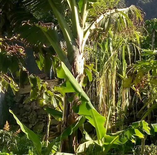 Casa Reizinho Vakantiehuis